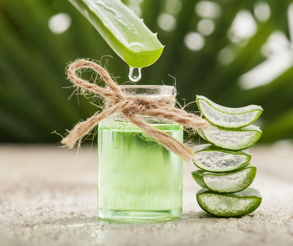 Aloe Vera for your Hair Health